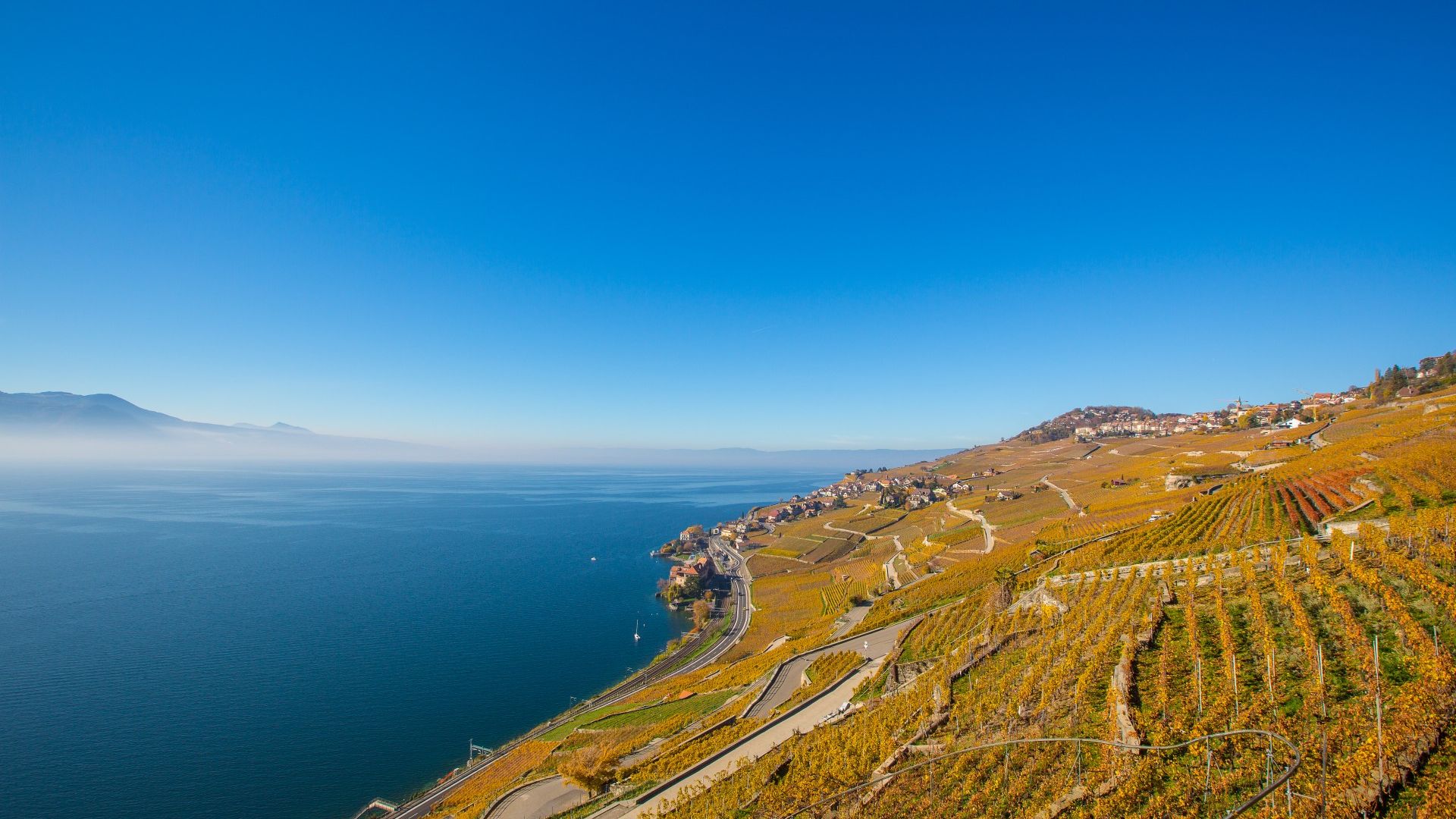 Img 05948620f9016d0f06c152876a22a7ae